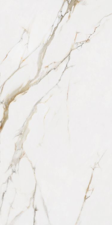 Time Dorado Matte 24 x 48